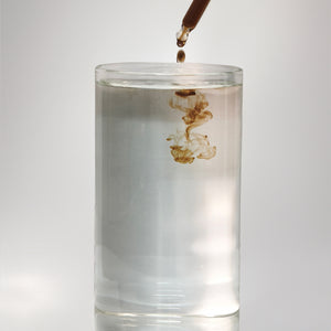 תמצית ריישי