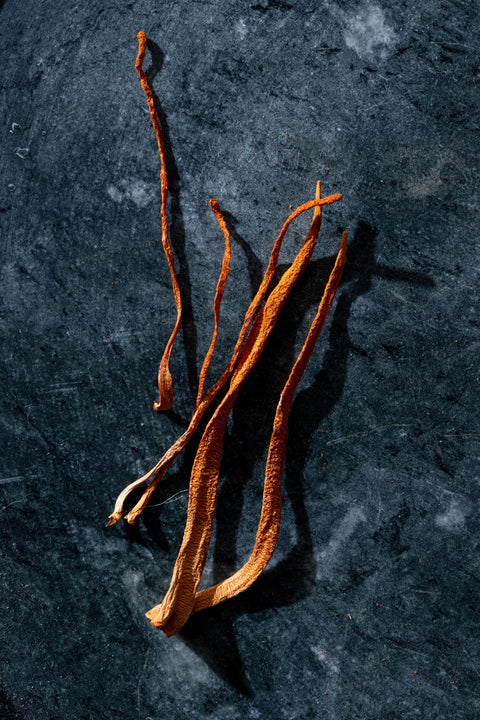 תמצית קורדיספס